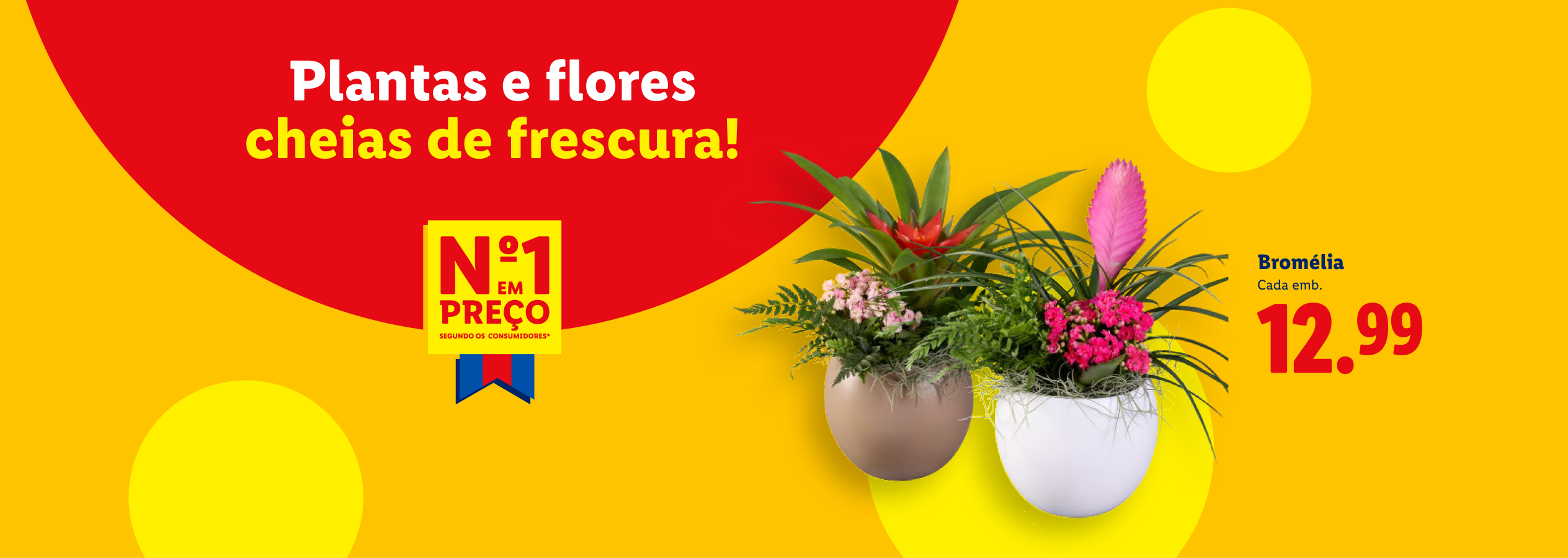 Plantas e flores frescas, incluindo bromélias, em vasos decorativos, com destaque para o preço de 12,99€.