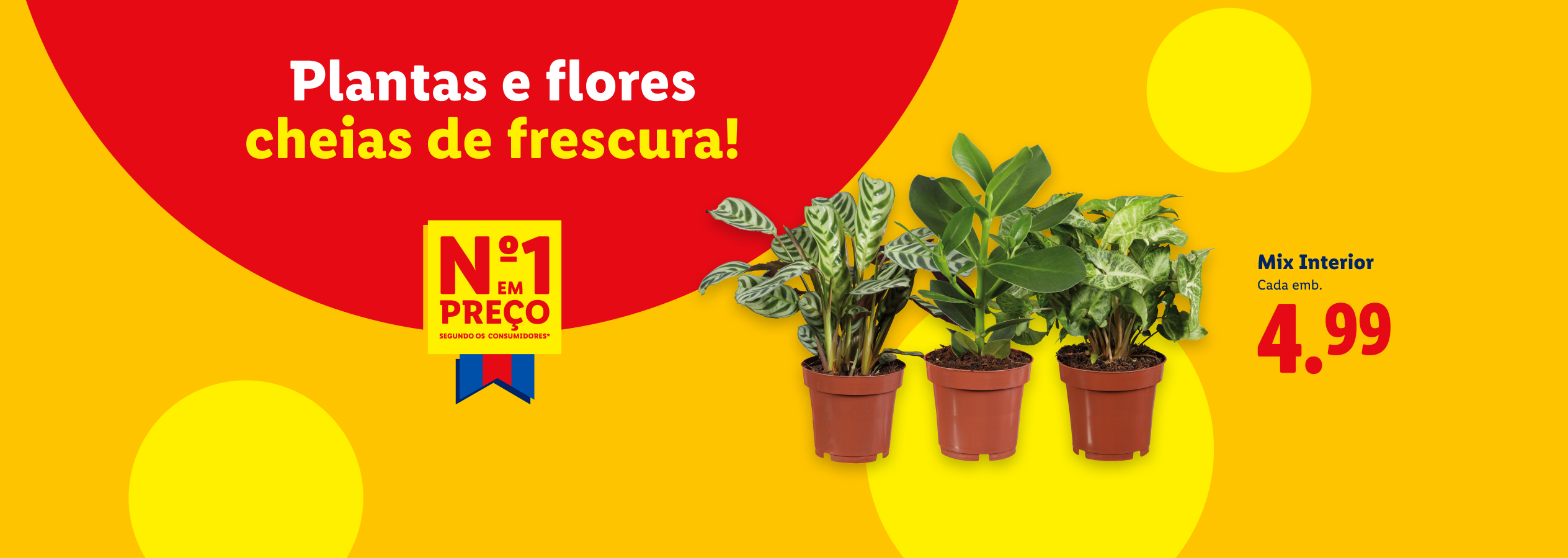 Plantas de interior em vasos, com a frase 'Plantas e flores cheias de frescura!' e o preço 4,99€.