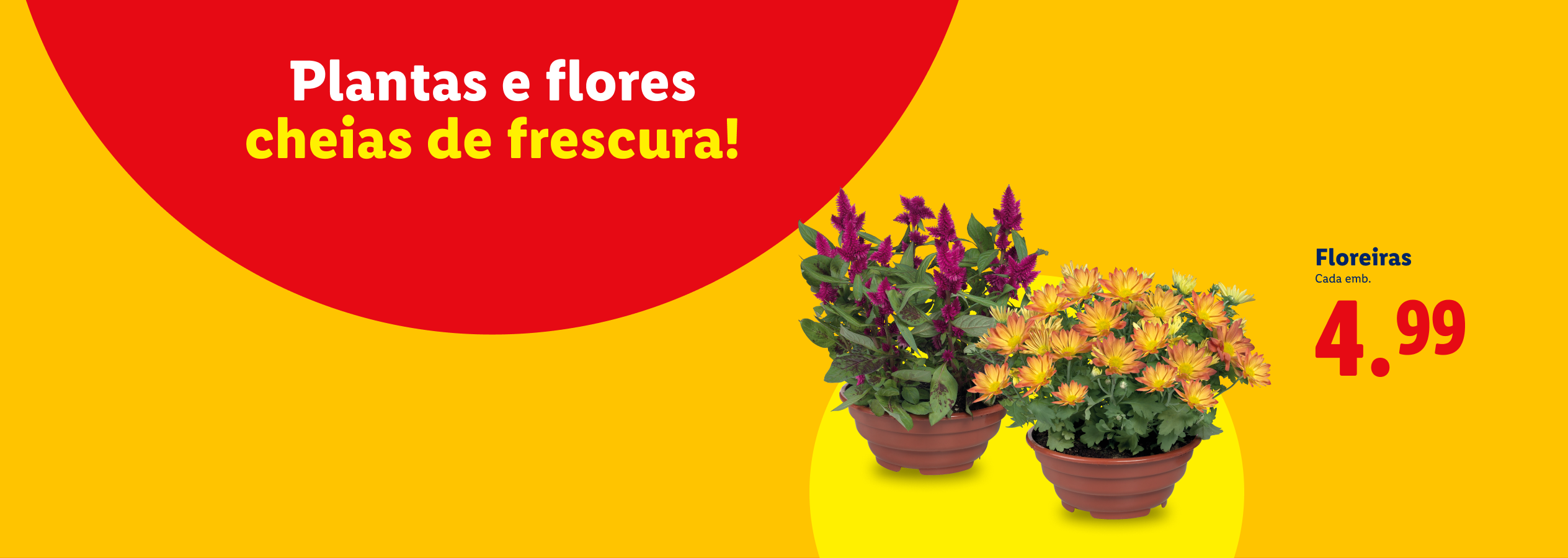 Plantas e flores cheias de frescura, floreiras a 4,99€.