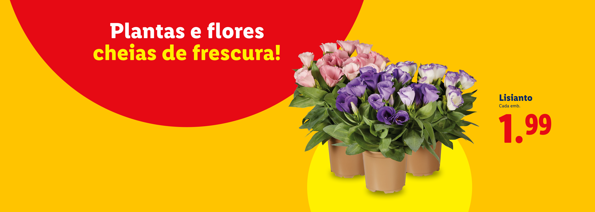 Plantas e flores frescas, com lisianthus rosa, roxos e brancos, a 1,99€ cada.