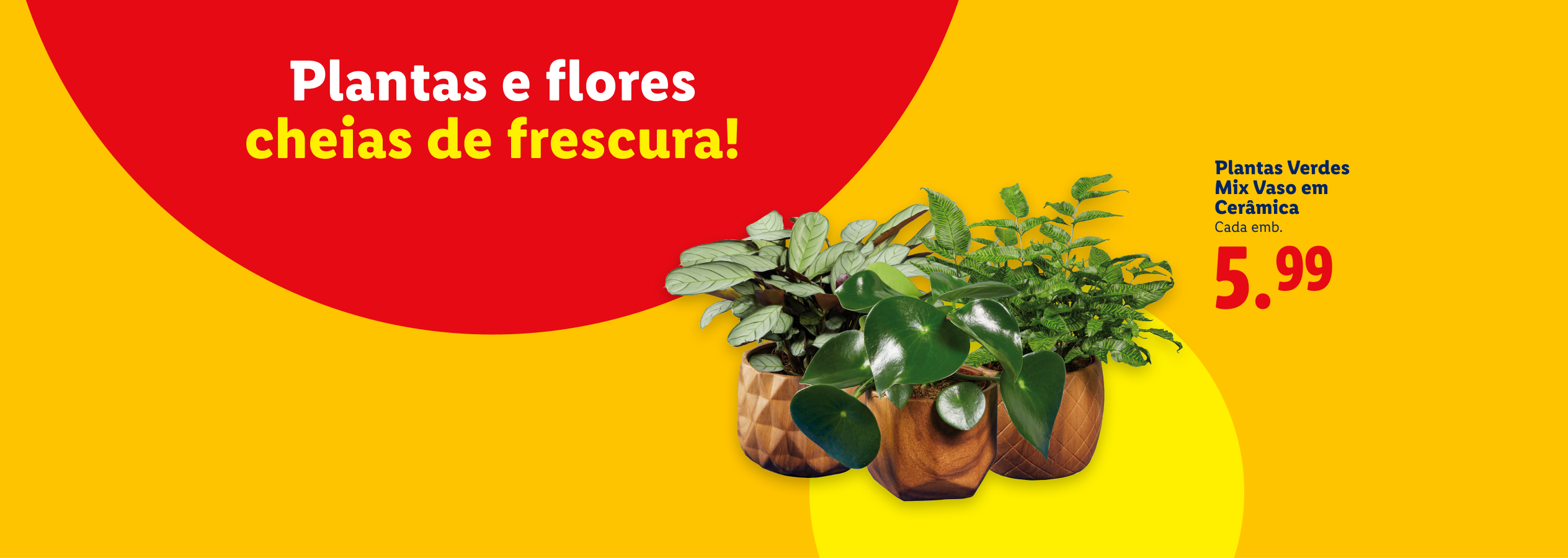 Plantas e flores cheias de frescura! Plantas Verdes Mix Vaso em Cerâmica por 5,99€.