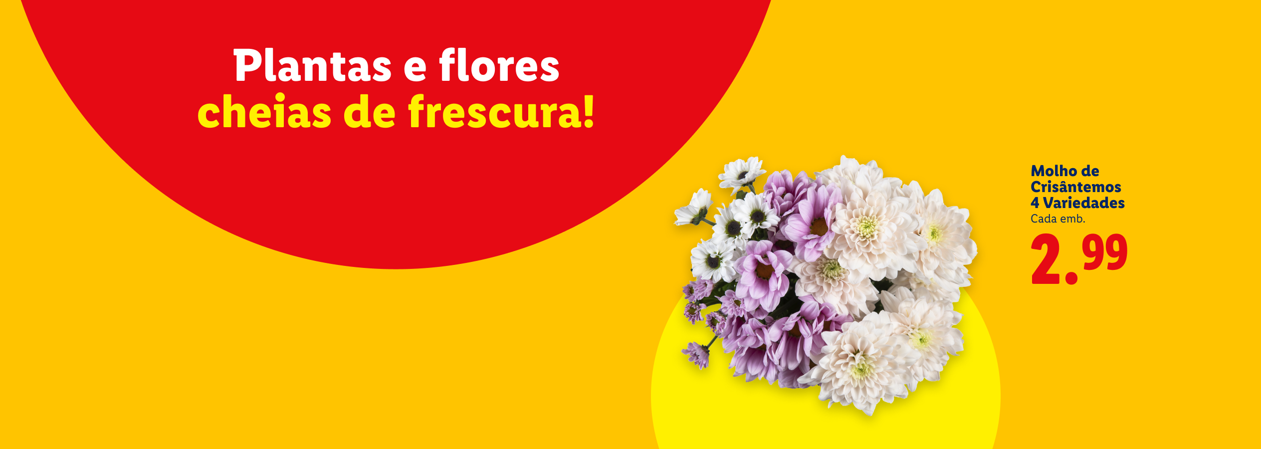 Plantas e flores frescas, com um molho de crisântemos de 4 variedades por 2,99€.