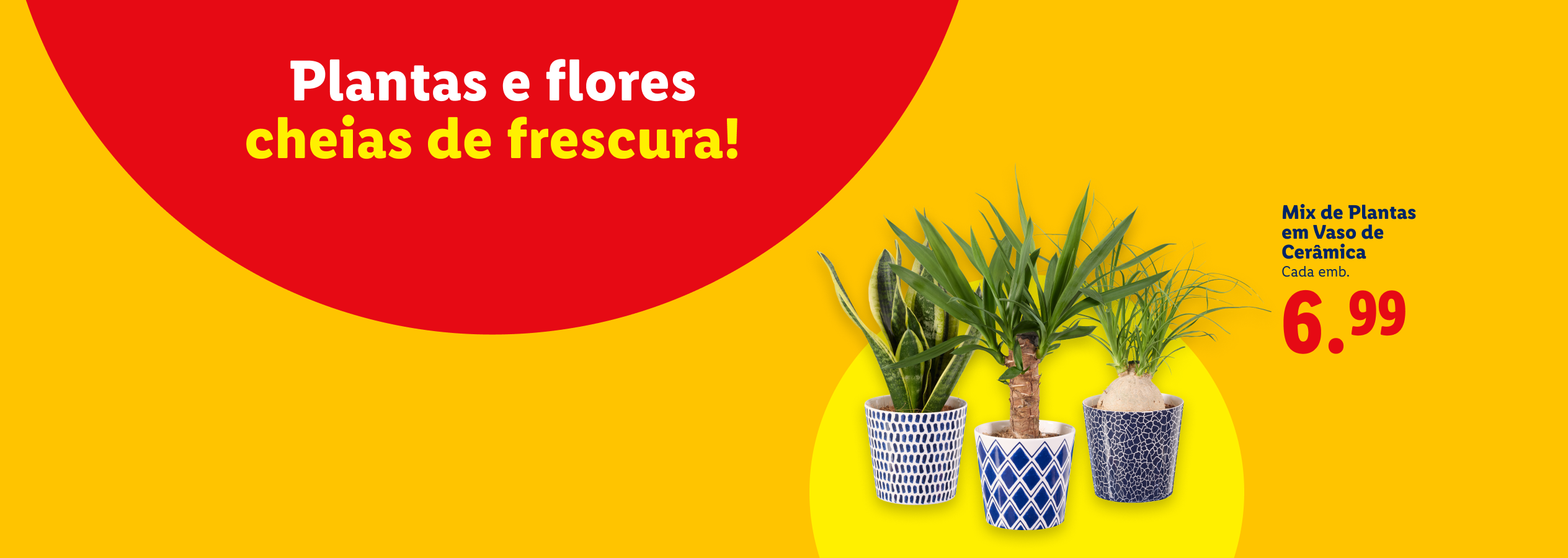 Plantas e flores cheias de frescura! Mix de Plantas em Vaso de Cerâmica por 6.99€ cada.