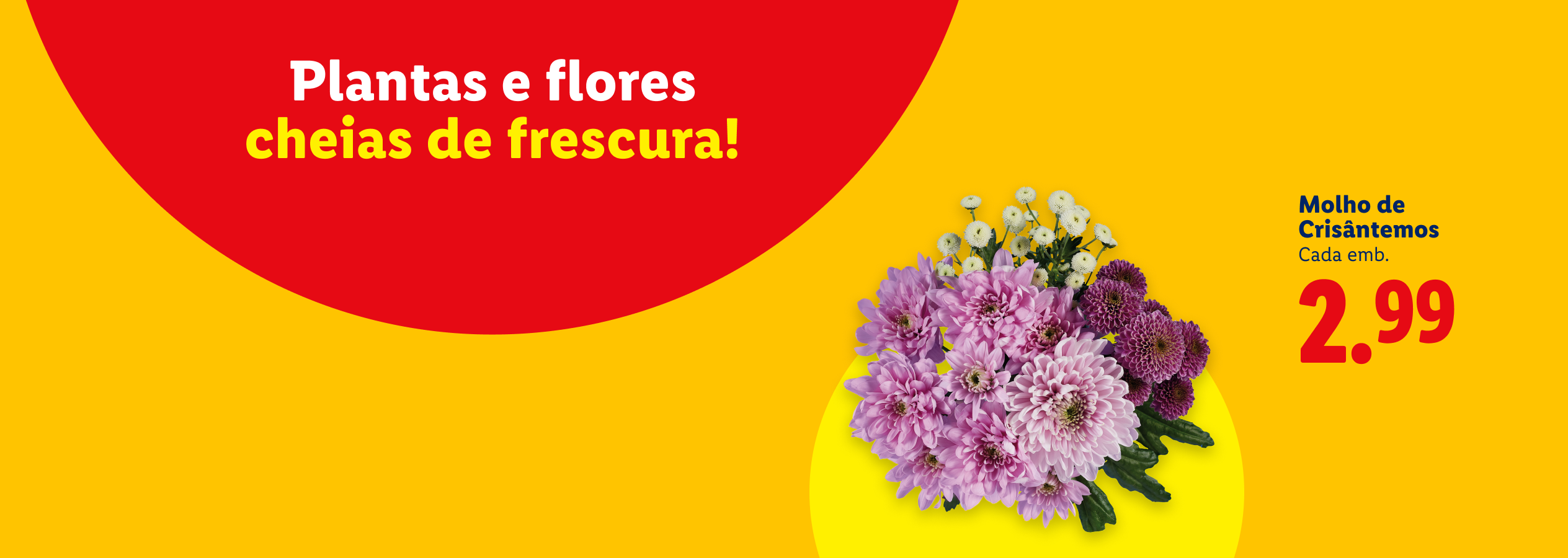 Molho de Crisântemos a 2,99€ cada embalagem.