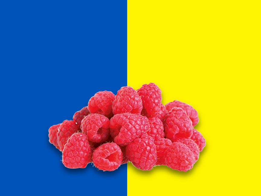 Frutas e Legumes