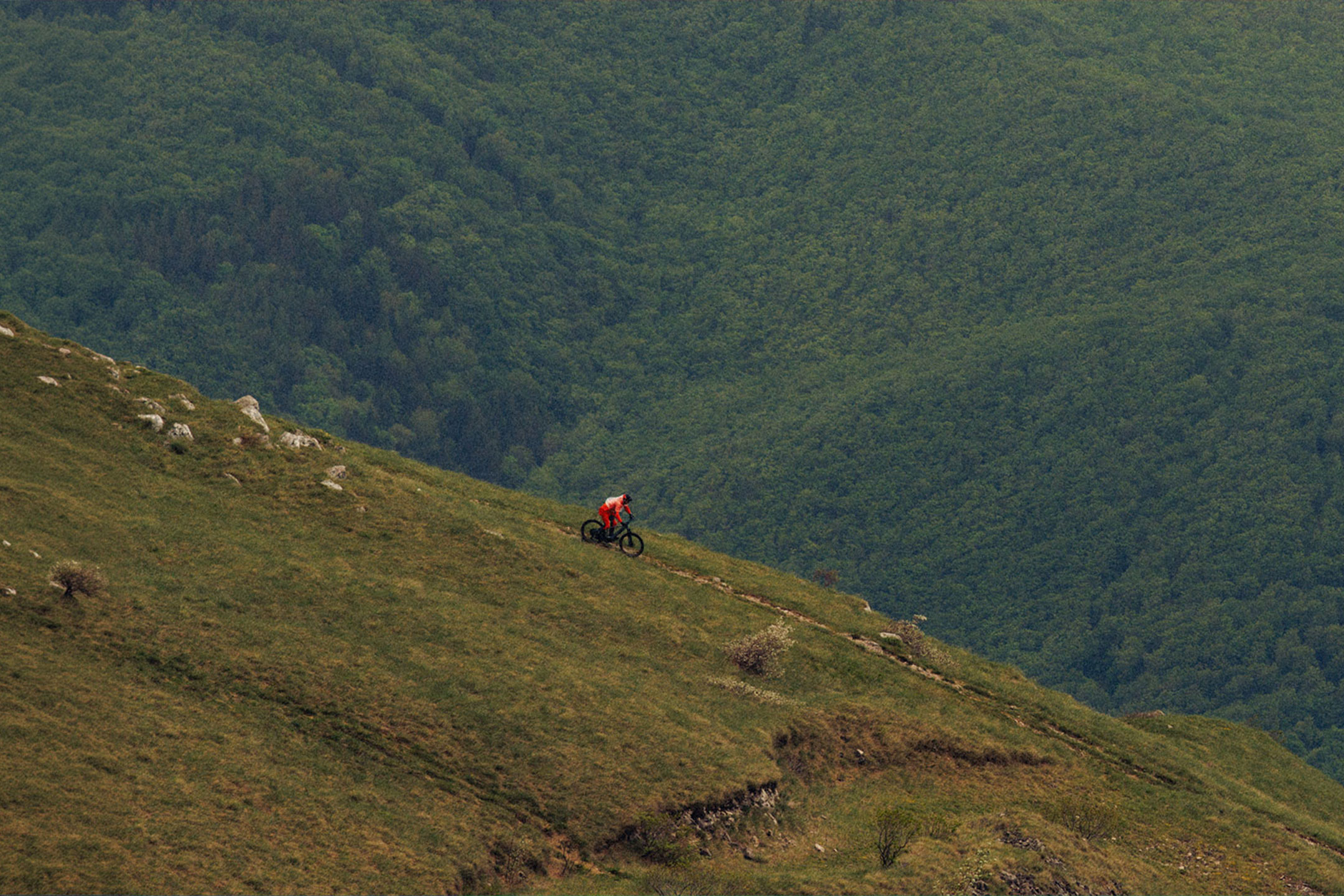 aiLabeling.aiLabelForImageAltText: Ciclista a descer um trilho de montanha com uma floresta densa ao fundo.