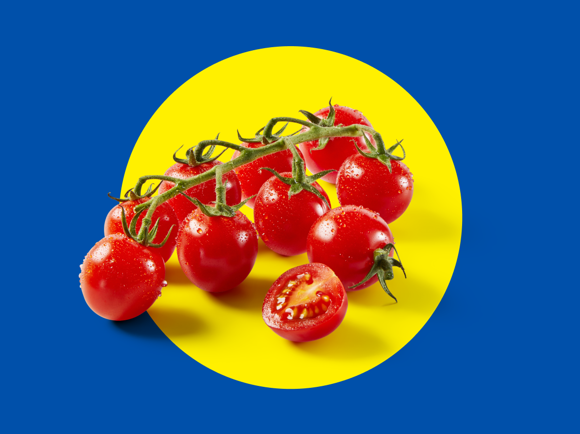 Tomates cereja frescos com gotas de água num fundo amarelo e azul.