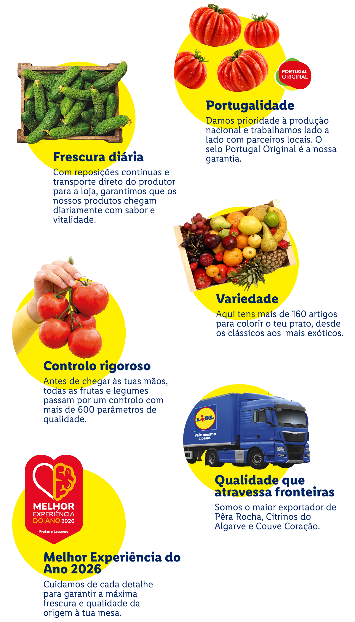 Uma colagem de frutas e vegetais frescos, destacando pepinos, tomates, uma variedade de frutas e um camião de entrega.