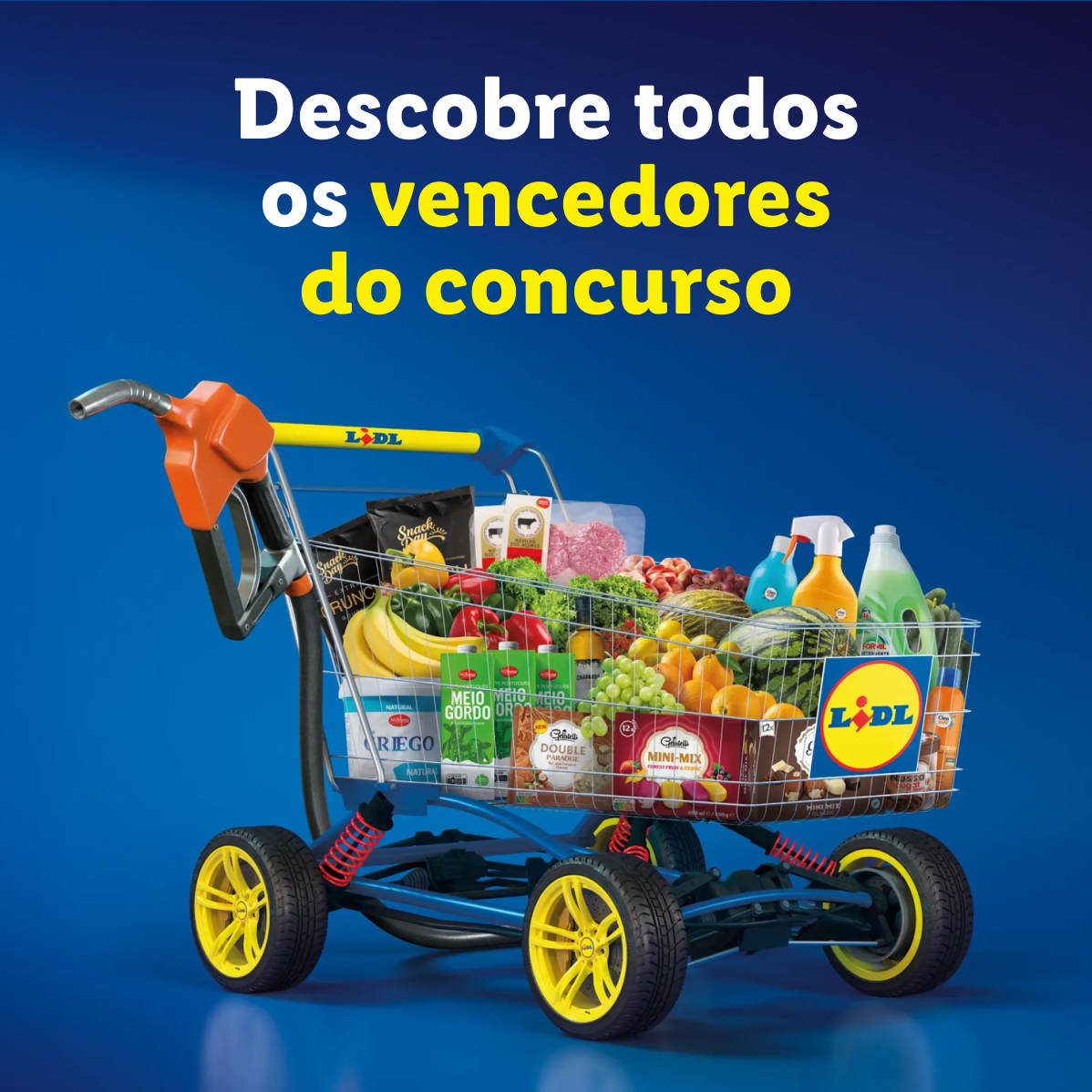 Carrinho de compras cheio de frutas, legumes, laticínios e produtos de limpeza, com o texto 'Descobre todos os vencedores do concurso'.