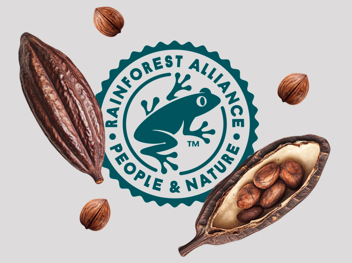 Vagens de cacau e grãos com o selo de certificação Rainforest Alliance.
