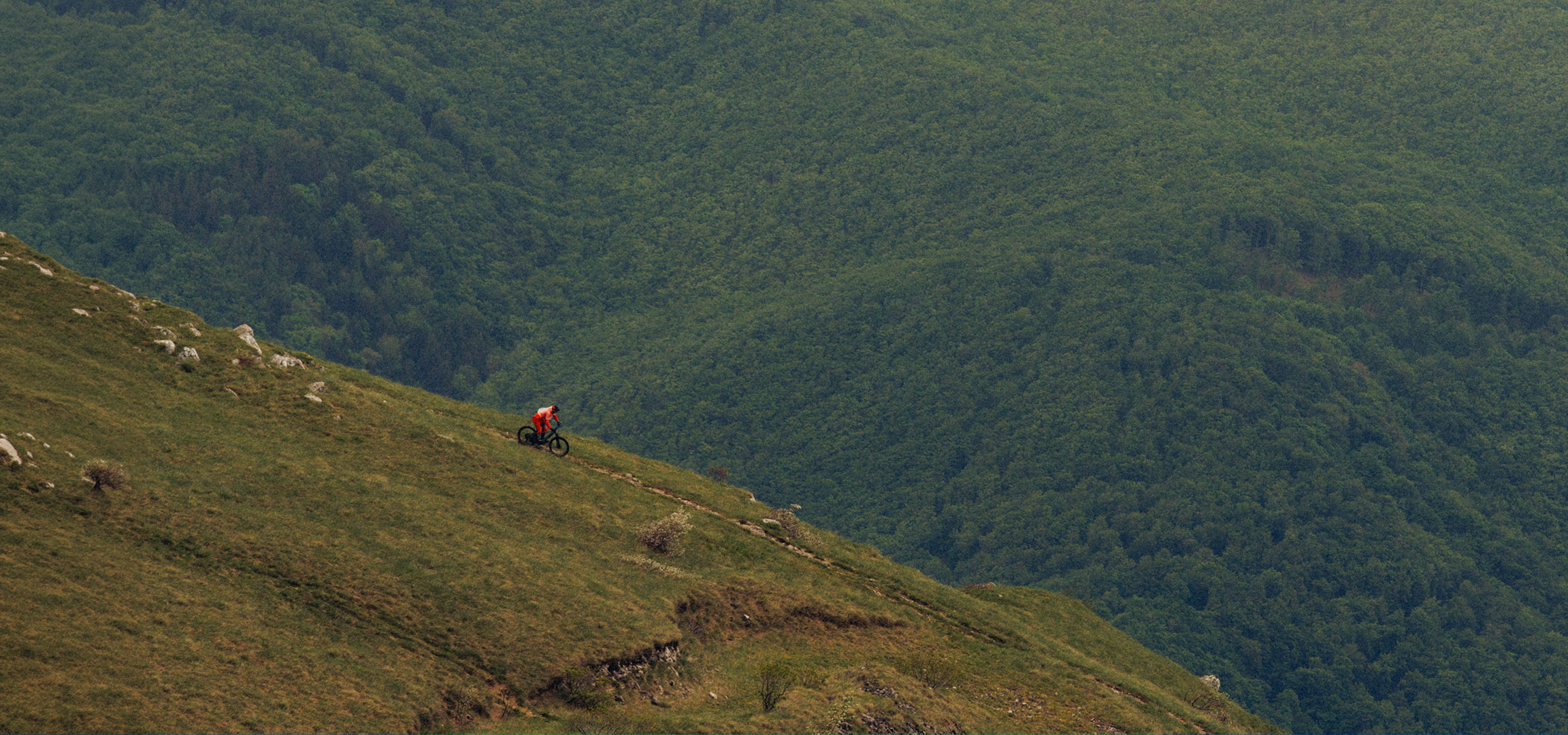 aiLabeling.aiLabelForImageAltText: Ciclista de montanha de vermelho a descer uma colina relvada com floresta densa.