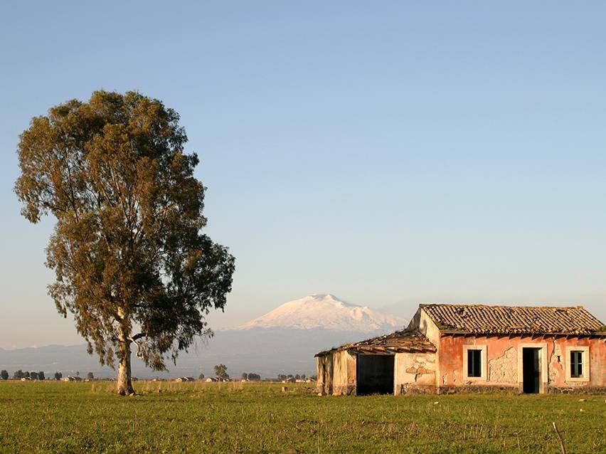 Paisagem rural com uma árvore, uma casa em ruínas e uma montanha nevada ao fundo.