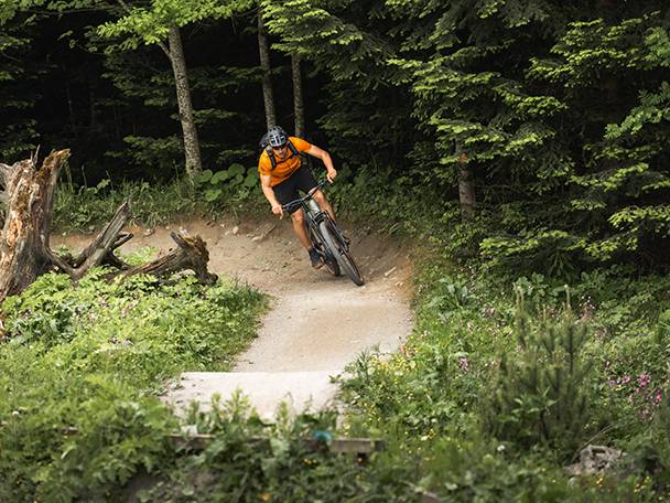 Ciclista de montanha em uma trilha na floresta.