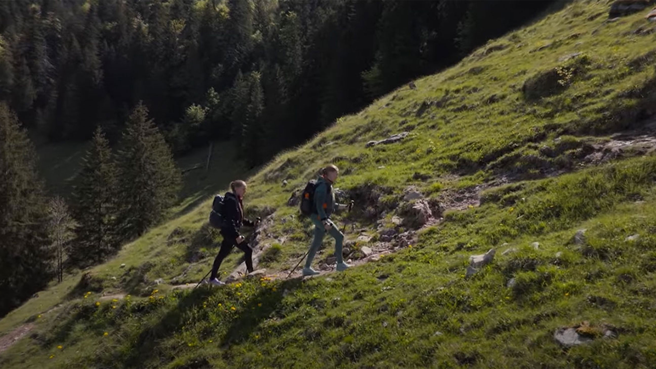 Dois caminhantes com mochilas sobem por uma trilha de montanha.