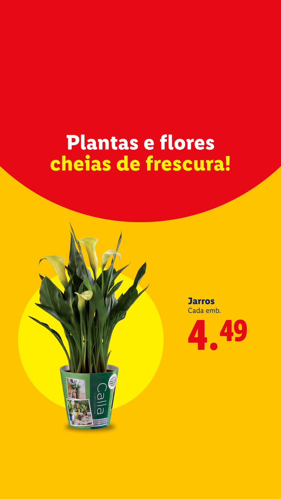 Plantas e flores cheias de frescura! Jarros a 4,49€ cada.