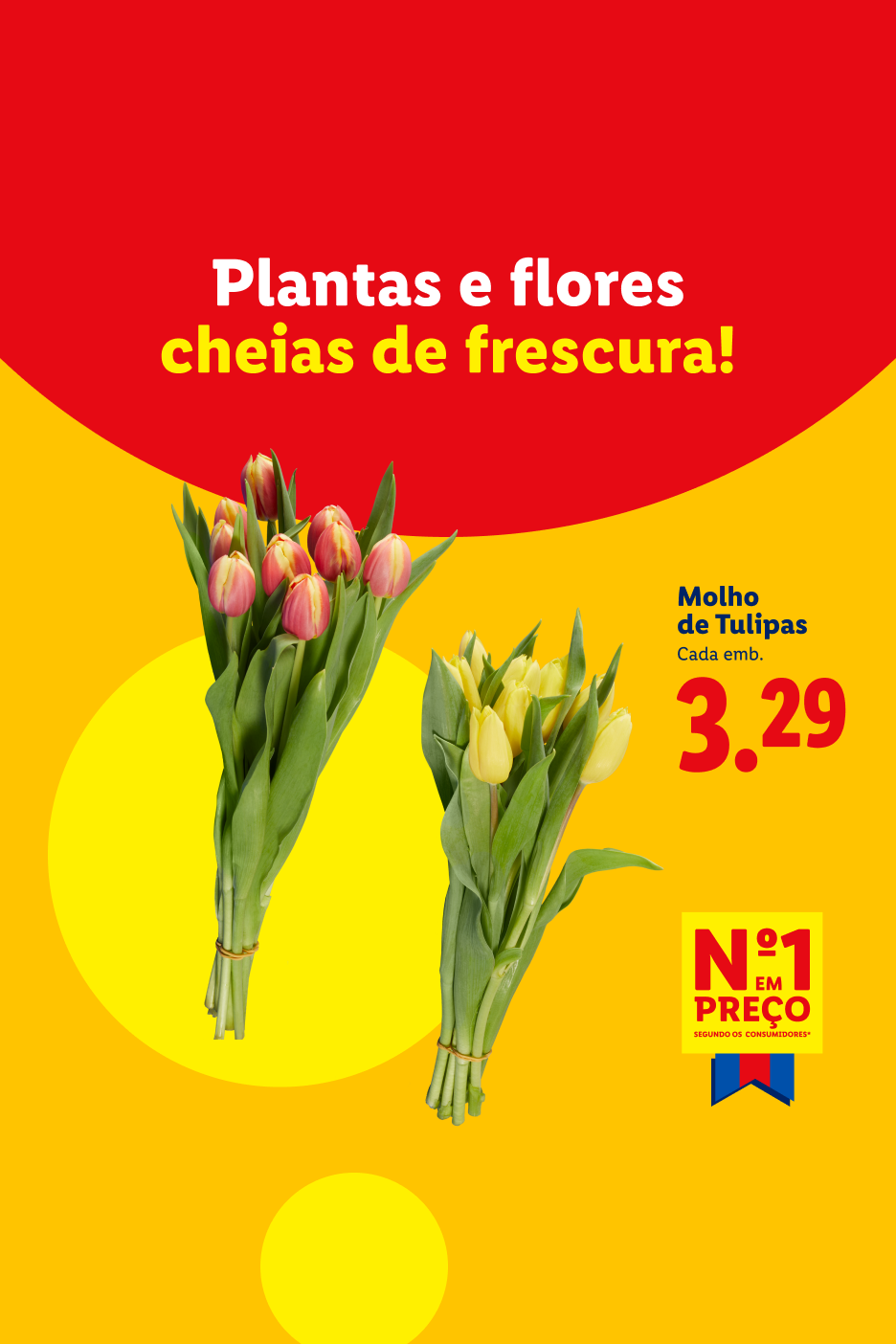Plantas e flores cheias de frescura! Molho de Tulipas por 3,29€, Nº1 em preço.