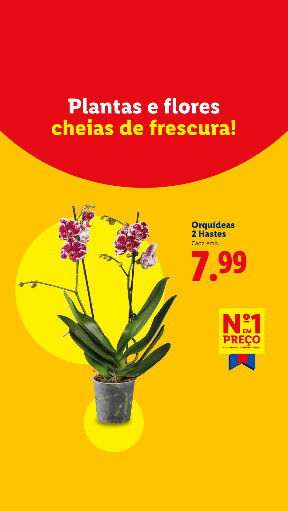 Orquídeas de 2 hastes por 7,99€, com o slogan 'Plantas e flores cheias de frescura!'