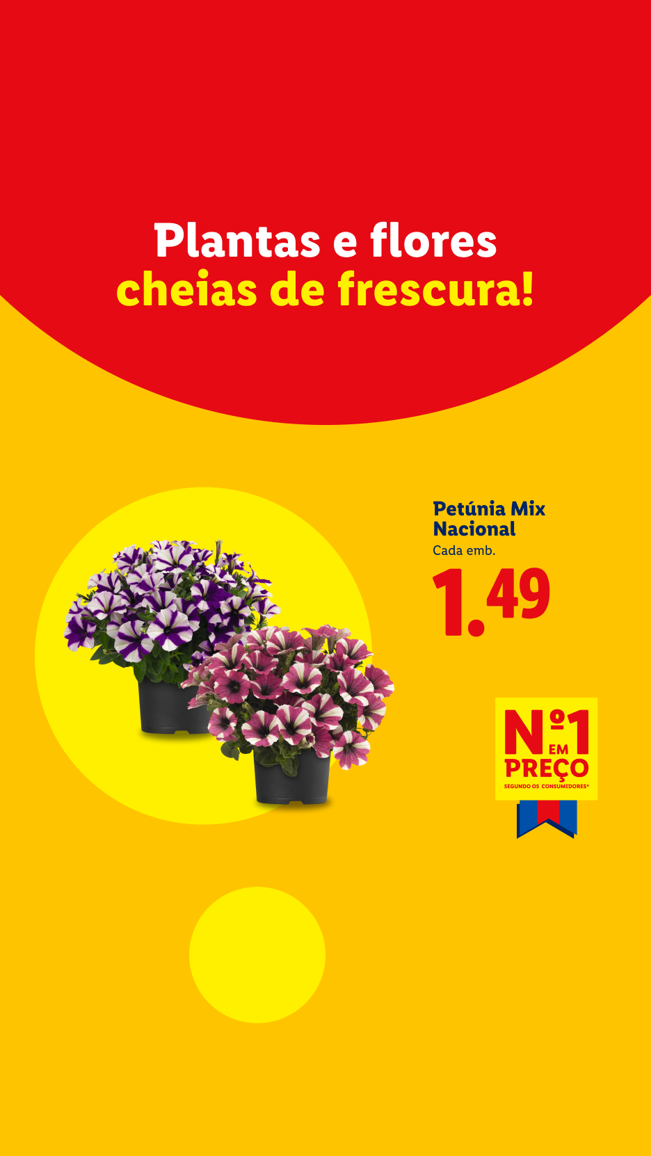Anúncio de petúnias mix nacionais a 1,49€, com o slogan 'Plantas e flores cheias de frescura!'.