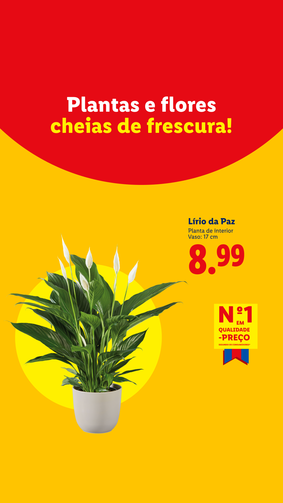 Plantas e flores cheias de frescura, com um Lírio da Paz em destaque e preço de 8.99.