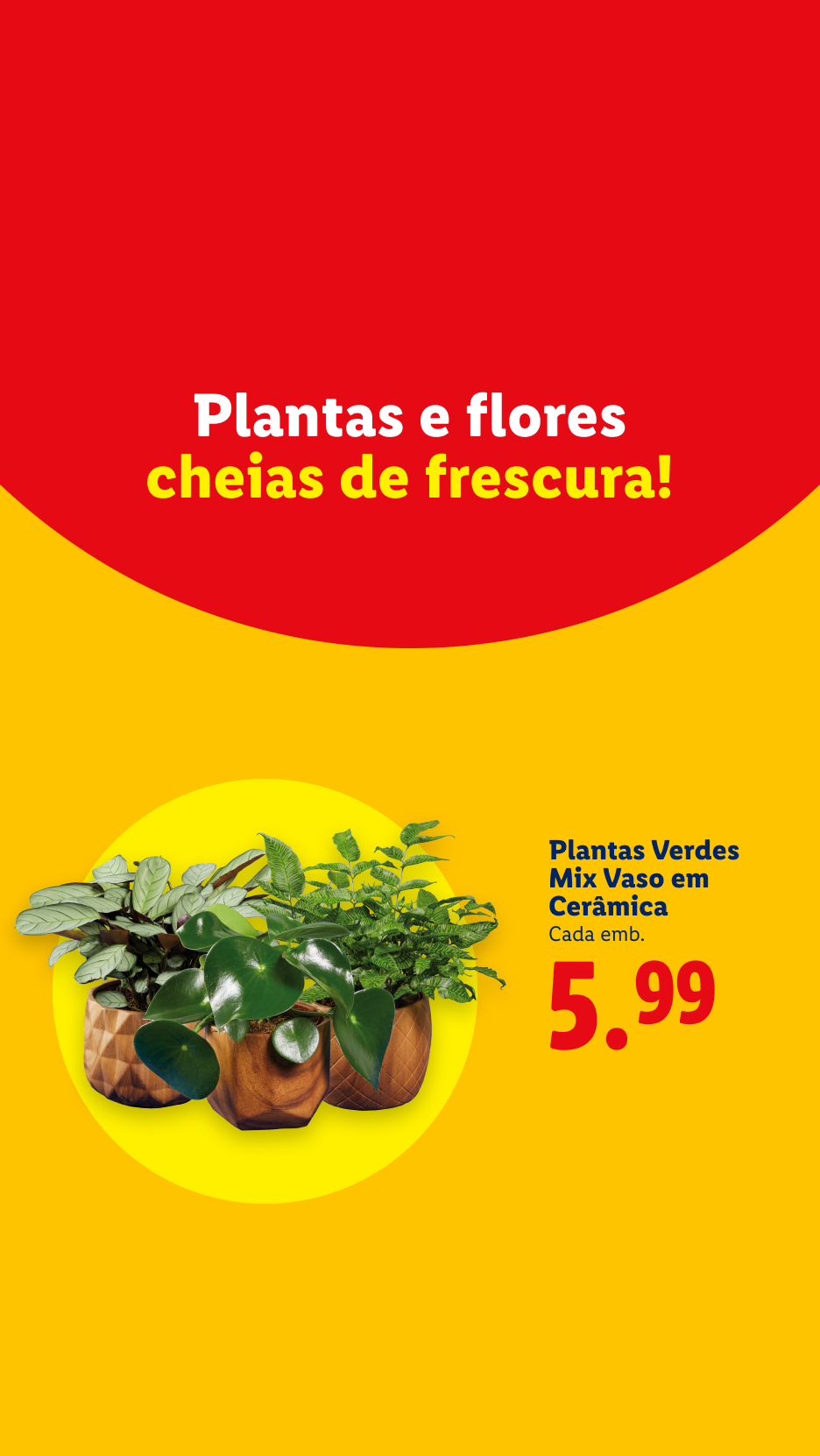 Plantas e flores frescas em vasos de cerâmica, com preço de 5,99€.