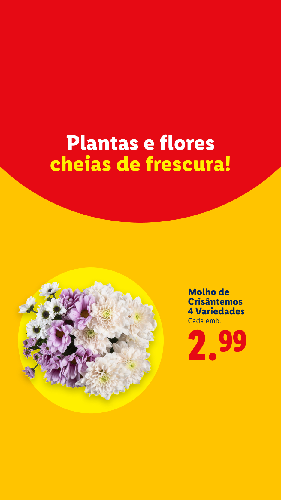 Plantas e flores frescas, com um molho de crisântemos de 4 variedades por 2,99€.