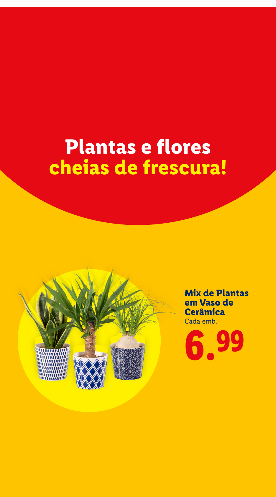 Plantas e flores frescas em vasos de cerâmica, preço 6,99.