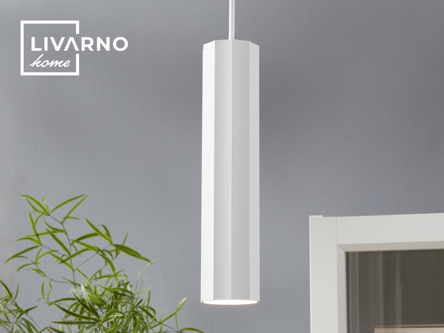 Um pendente branco moderno ilumina um ambiente com uma planta verde e uma porta branca.