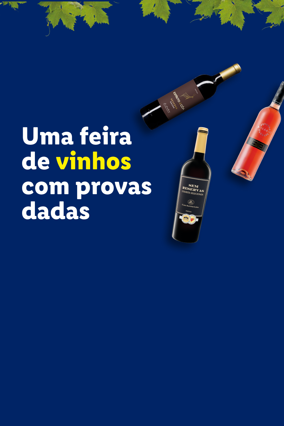 Uma feira de vinhos com provas dadas, apresentando garrafas de vinho tinto e rosé.