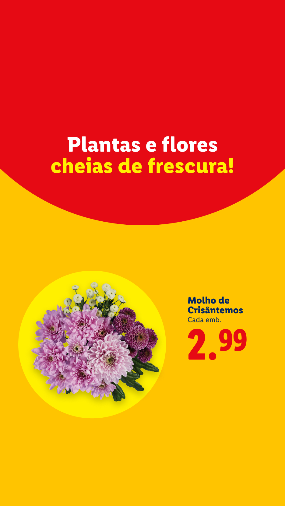 Molho de Crisântemos por 2,99€ sob o lema 'Plantas e flores cheias de frescura!'.