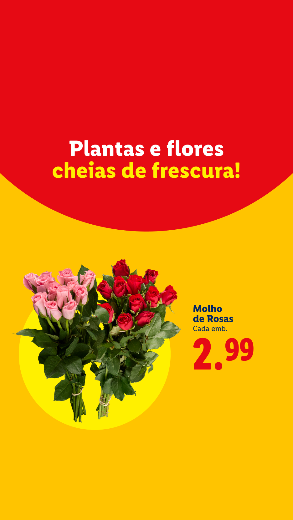 Molho de rosas por 2,99€.