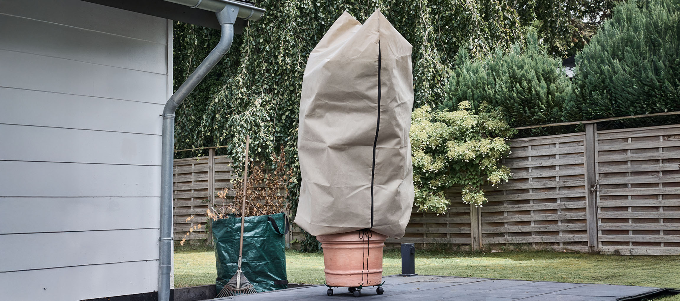 Planta em vaso com capa de proteção de inverno num pátio junto a uma casa.