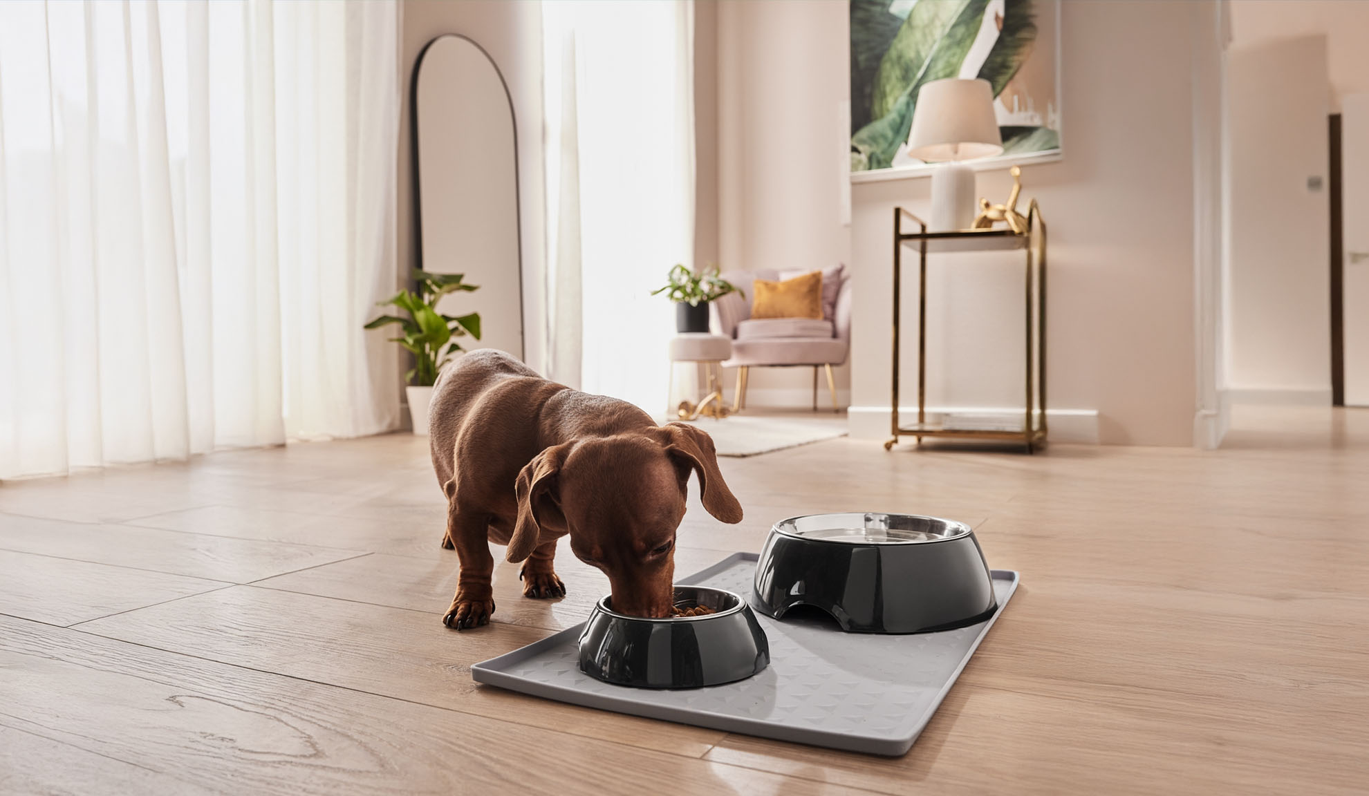 Um dachshund come de sua tigela para cães em um tapete protetor.