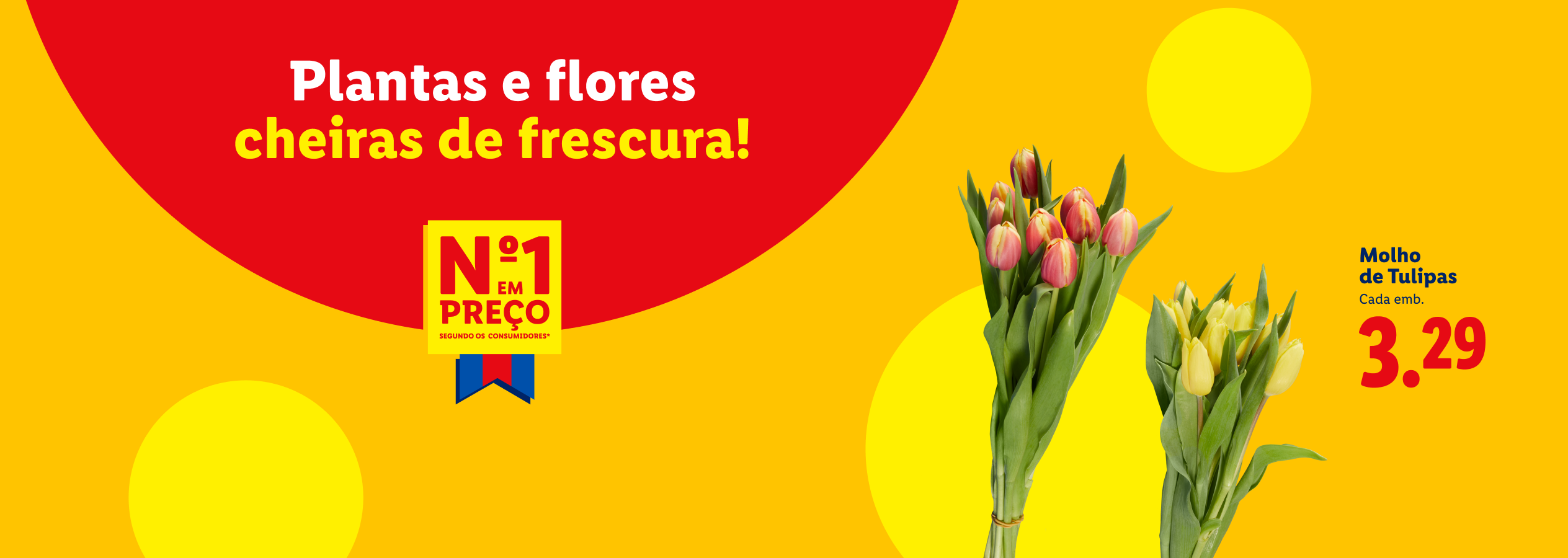 Plantas e flores cheias de frescura, com molho de tulipas a 3,29€.