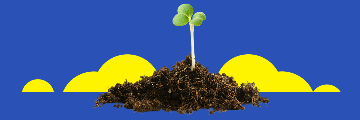 Uma planta crescendo da terra em um fundo amarelo e azul.