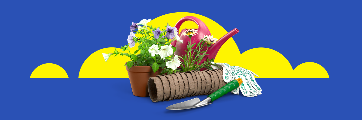 Flores, regador, tabletes de turfa e luvas de jardinagem.