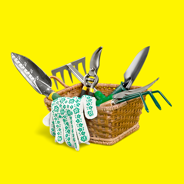 Kit de ferramentas de mão (pá, sacho e ancinho)