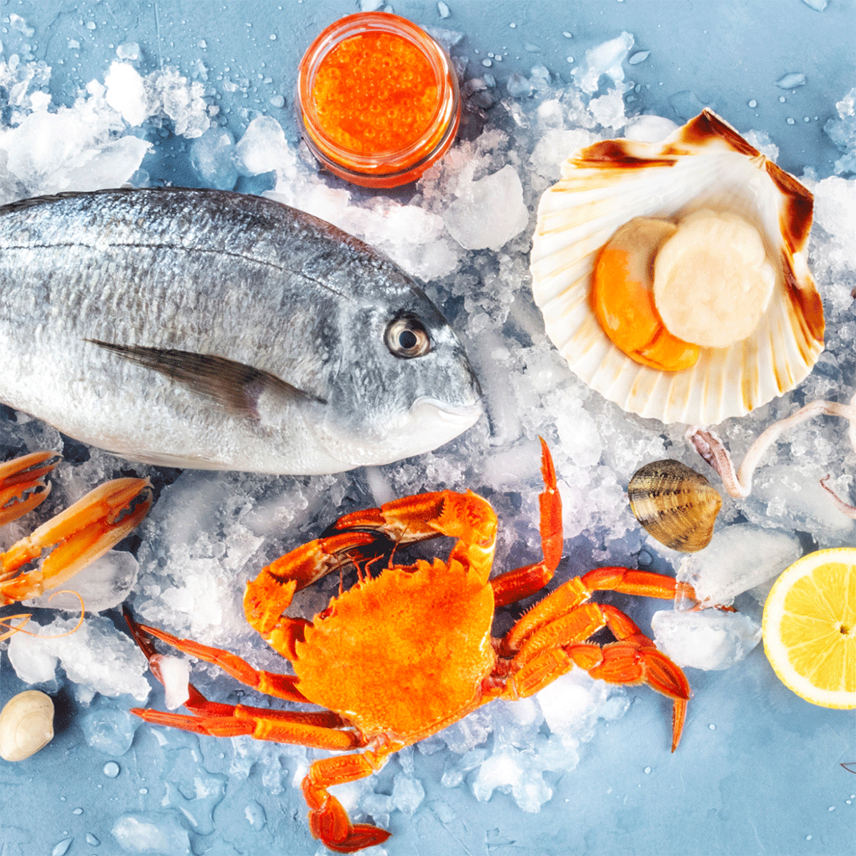 Peixe, caranguejo, camarões e vieiras no gelo.