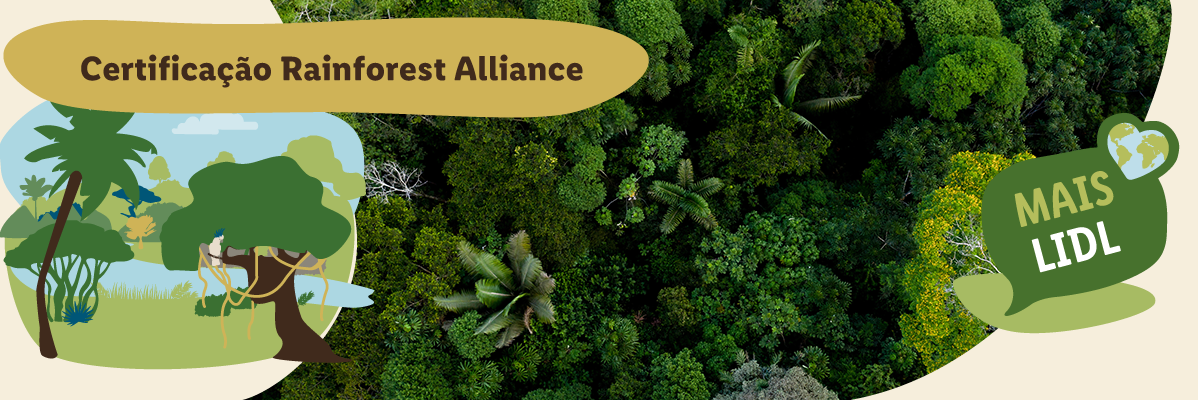 Produtos Lidl com certificação Rainforest Alliance e floresta tropical.